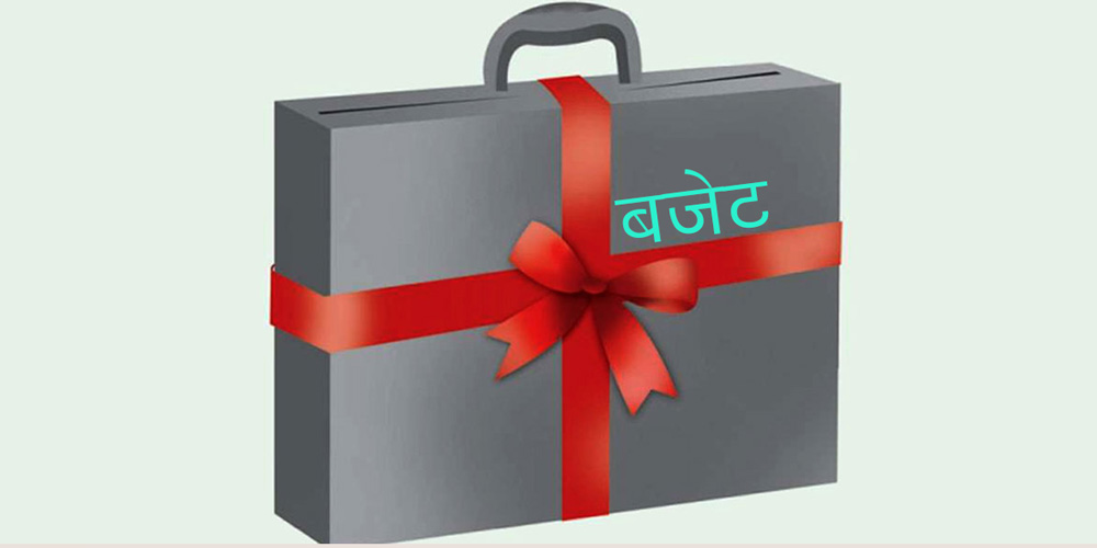 Websoft IT Nepal Pvt. Ltd.