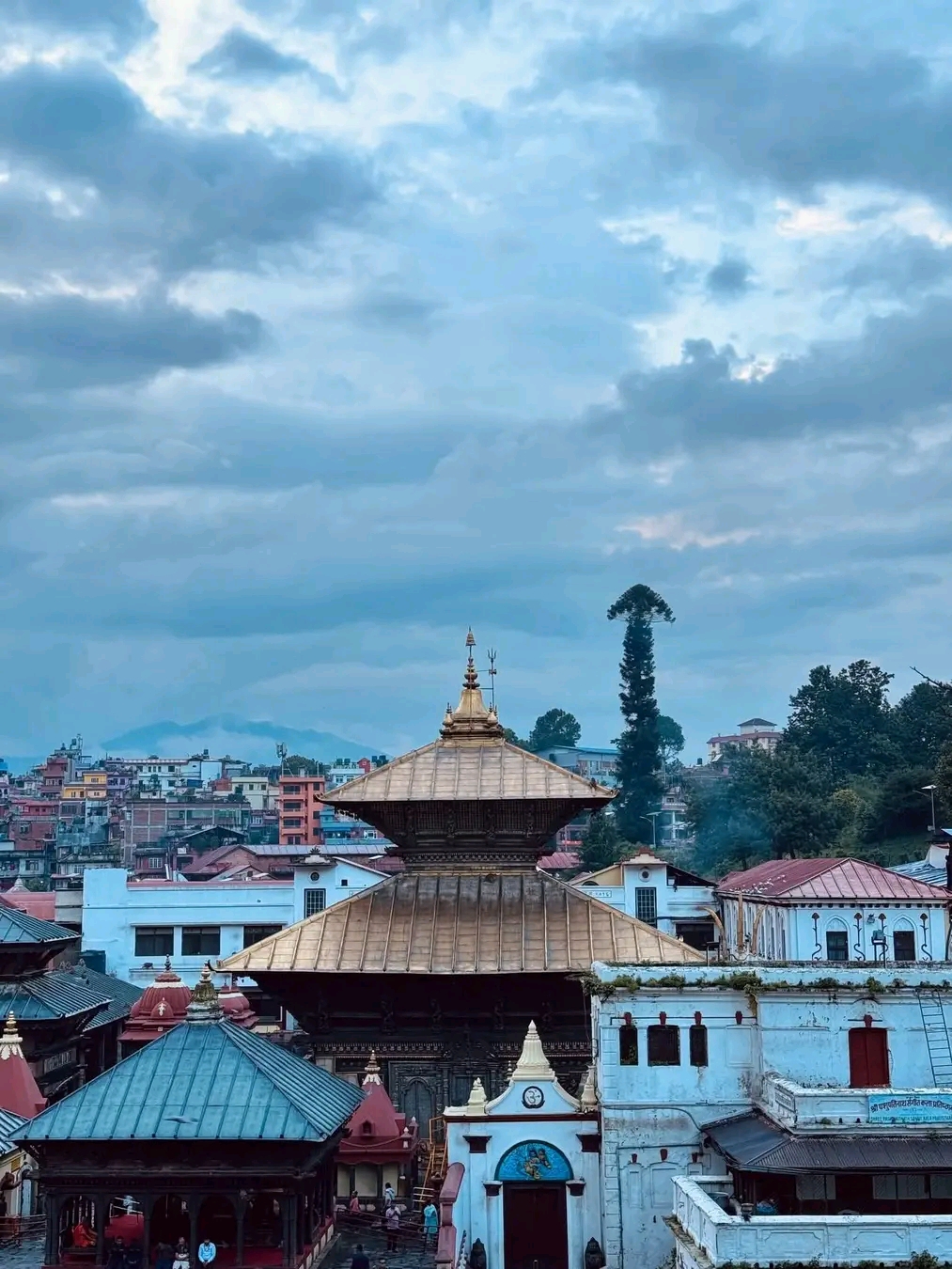 Websoft IT Nepal Pvt. Ltd.
