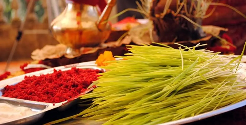Websoft IT Nepal Pvt. Ltd.