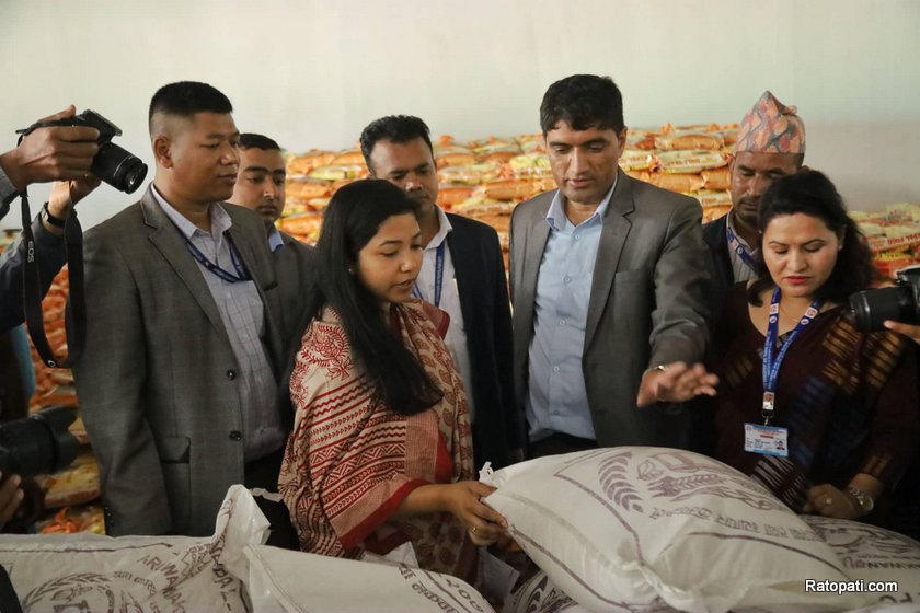 Websoft IT Nepal Pvt. Ltd.