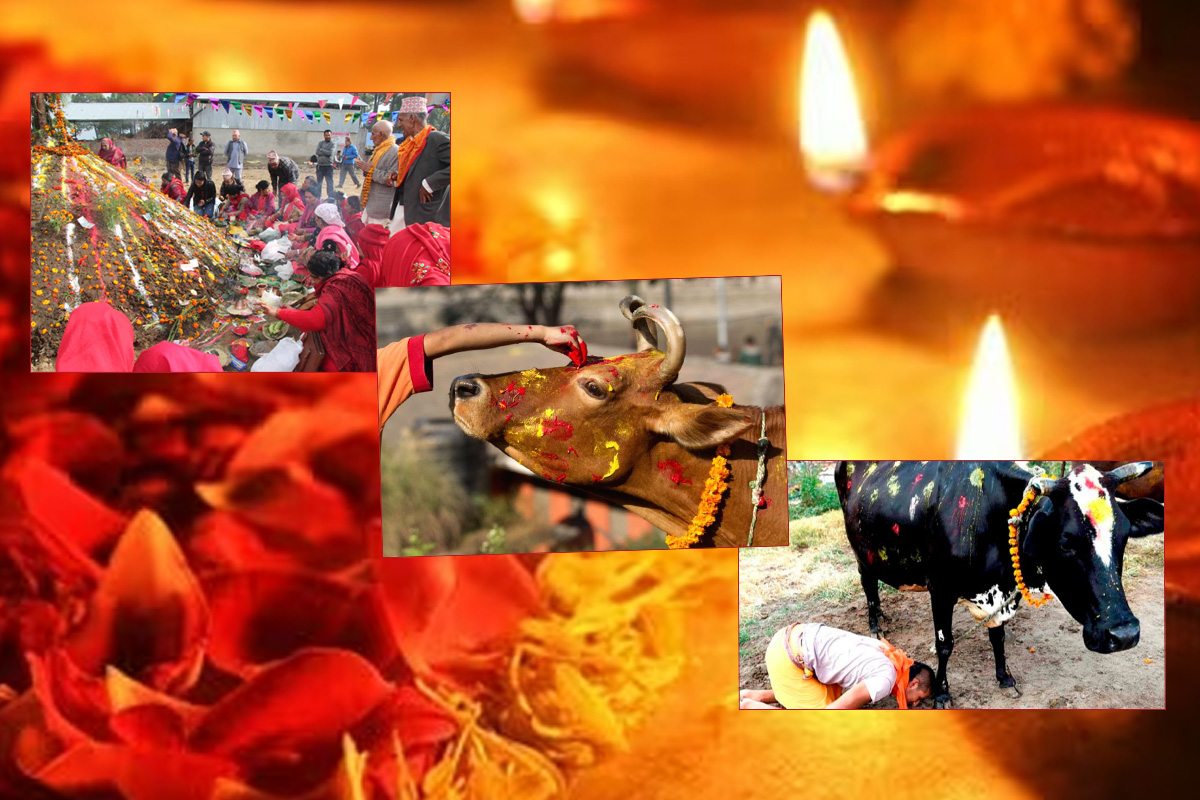 Websoft IT Nepal Pvt. Ltd.