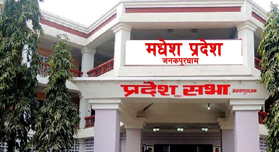 Websoft IT Nepal Pvt. Ltd.
