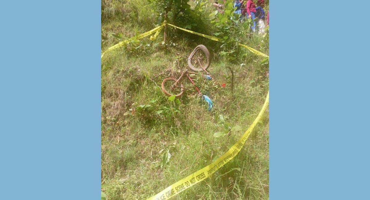 Websoft IT Nepal Pvt. Ltd.