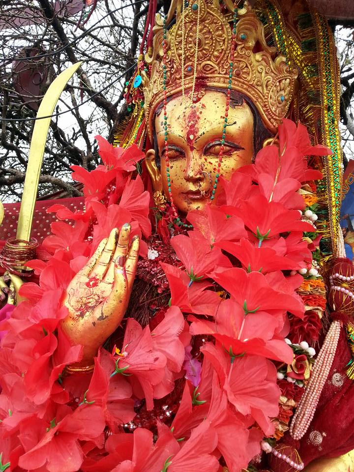 Websoft IT Nepal Pvt. Ltd.