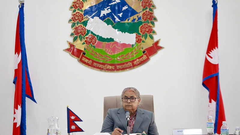 Websoft IT Nepal Pvt. Ltd.