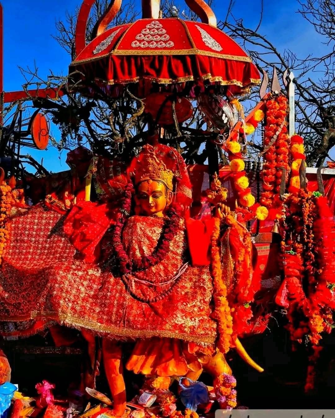 Websoft IT Nepal Pvt. Ltd.