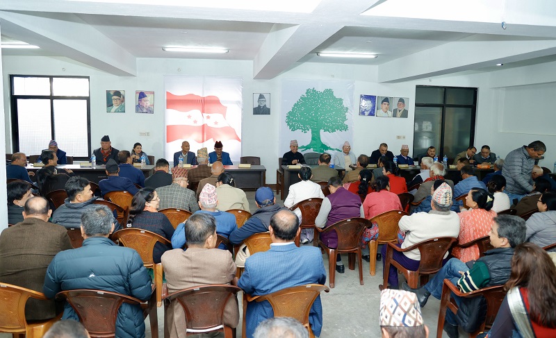 Websoft IT Nepal Pvt. Ltd.