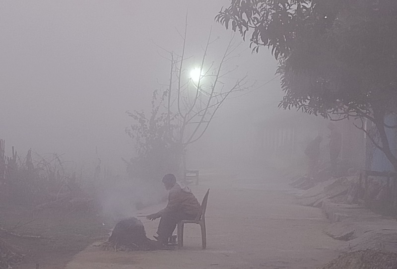 Websoft IT Nepal Pvt. Ltd.