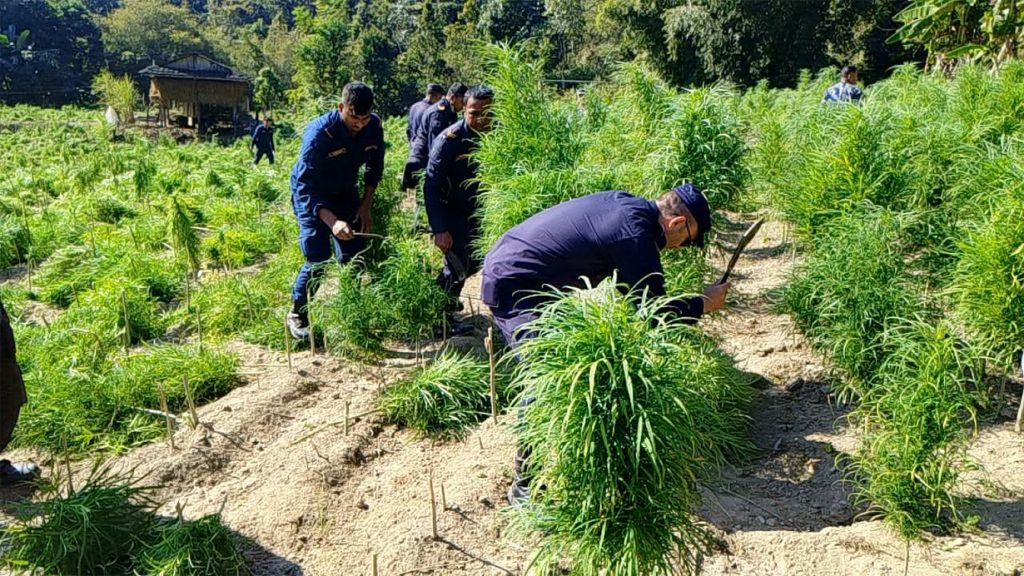 Websoft IT Nepal Pvt. Ltd.