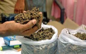 Websoft IT Nepal Pvt. Ltd.