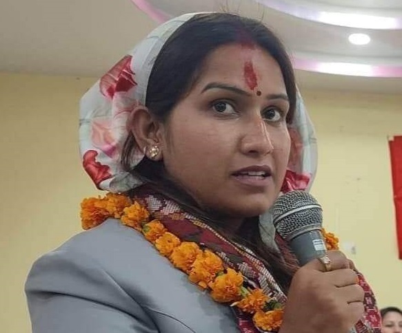 Websoft IT Nepal Pvt. Ltd.