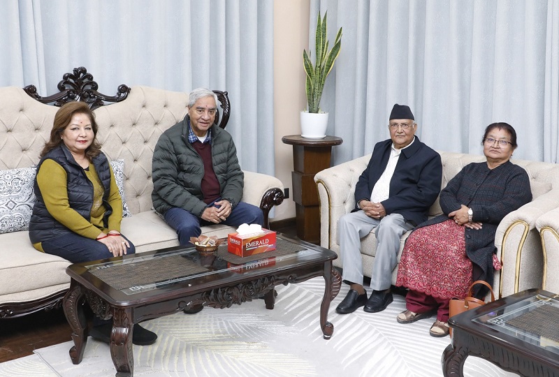 Websoft IT Nepal Pvt. Ltd.