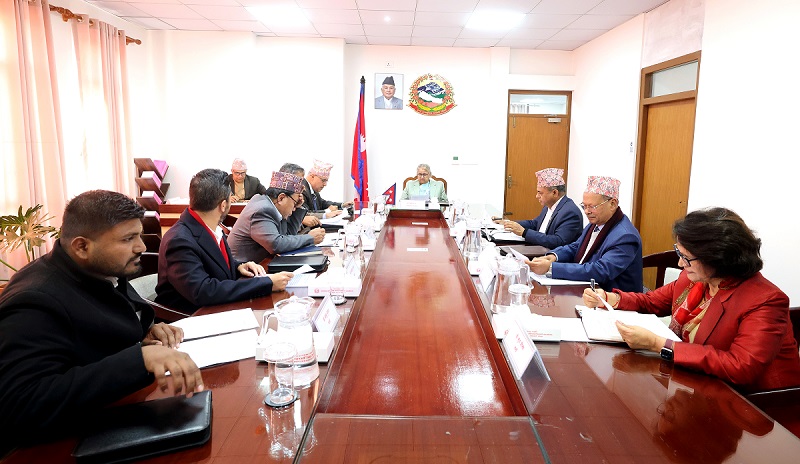 Websoft IT Nepal Pvt. Ltd.