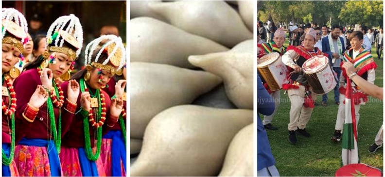 Websoft IT Nepal Pvt. Ltd.