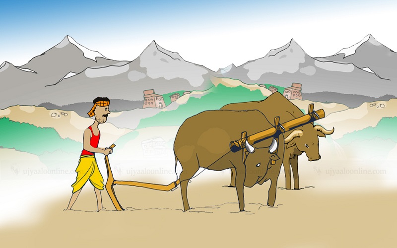 Websoft IT Nepal Pvt. Ltd.