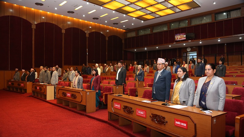 Websoft IT Nepal Pvt. Ltd.