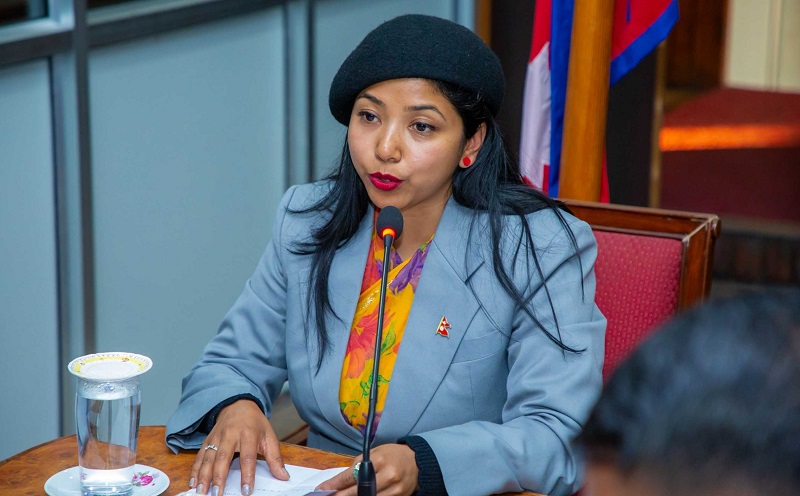 Websoft IT Nepal Pvt. Ltd.