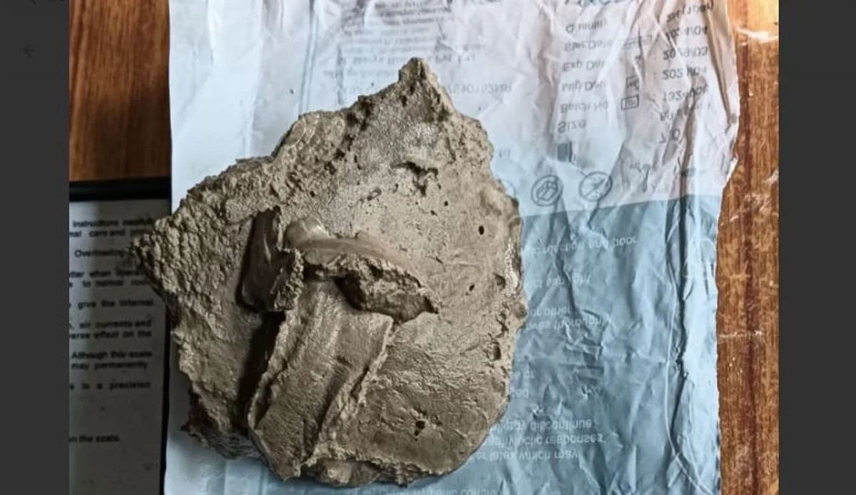 Websoft IT Nepal Pvt. Ltd.