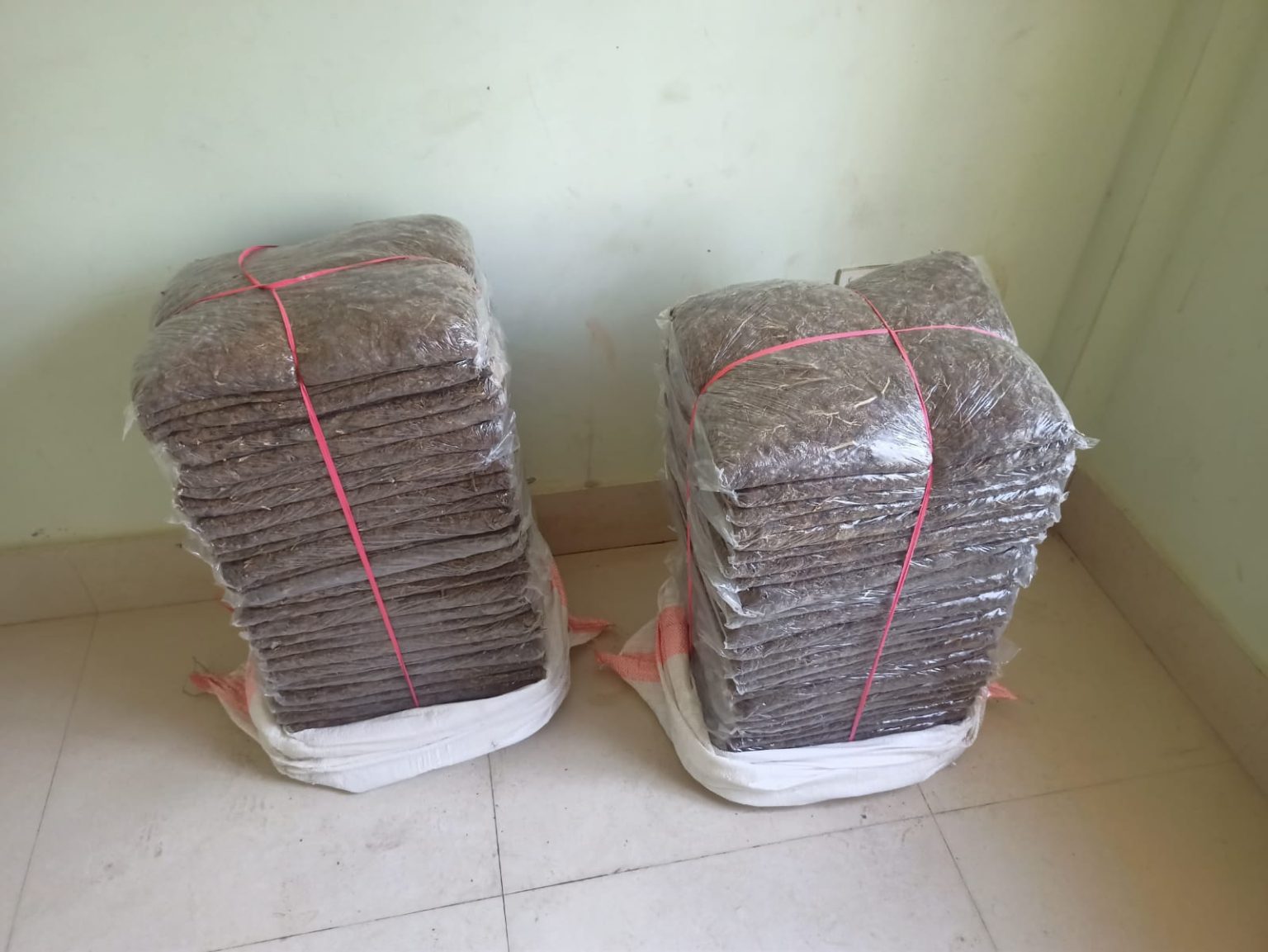 Websoft IT Nepal Pvt. Ltd.