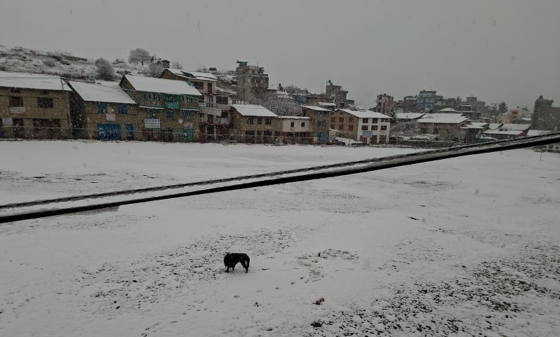 Websoft IT Nepal Pvt. Ltd.