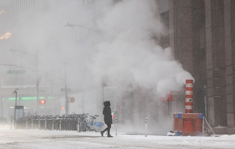 Websoft IT Nepal Pvt. Ltd.