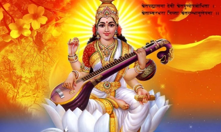 Websoft IT Nepal Pvt. Ltd.