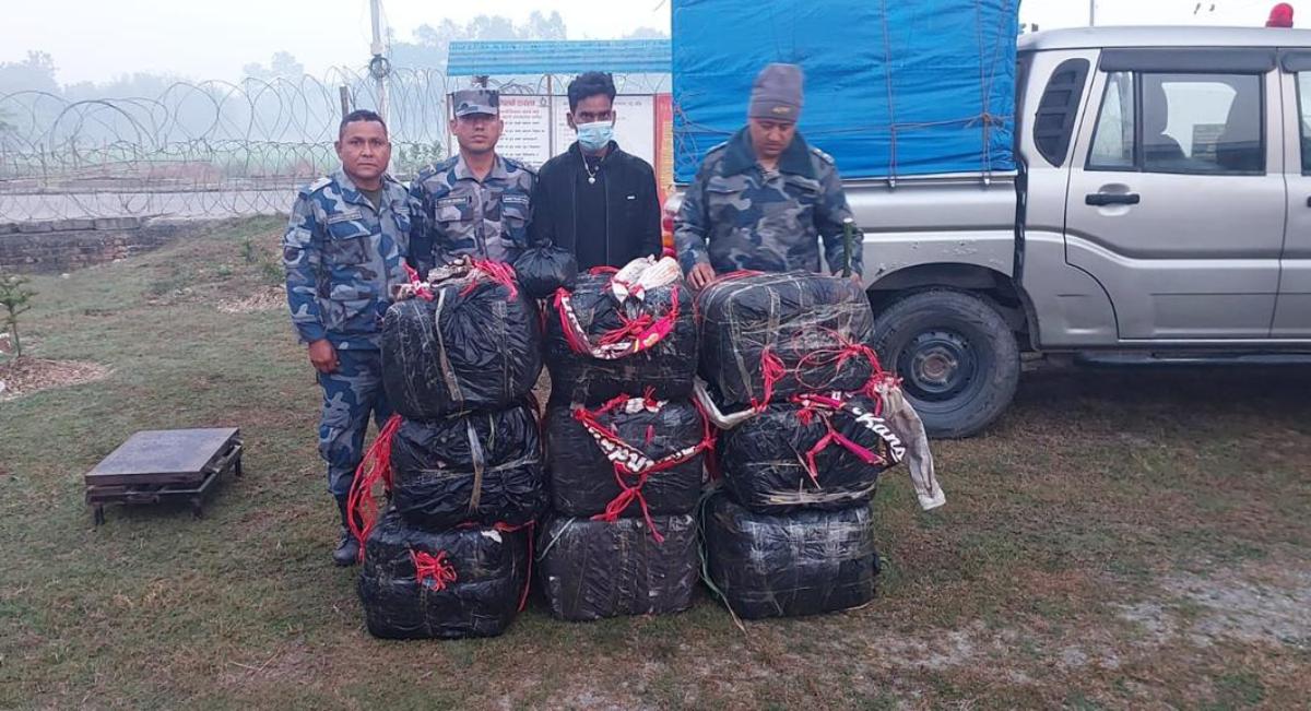 Websoft IT Nepal Pvt. Ltd.