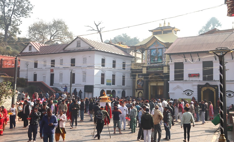 Websoft IT Nepal Pvt. Ltd.