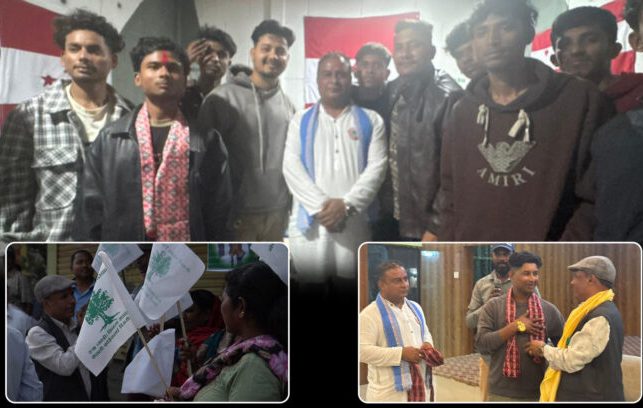 Websoft IT Nepal Pvt. Ltd.