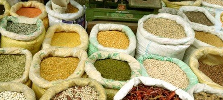 Websoft IT Nepal Pvt. Ltd.