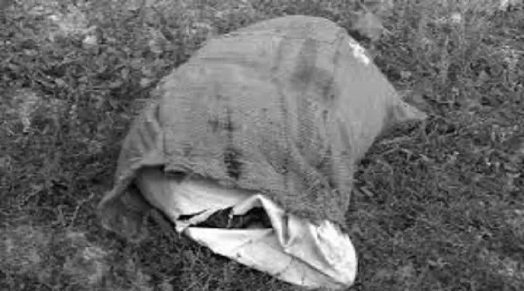 Websoft IT Nepal Pvt. Ltd.