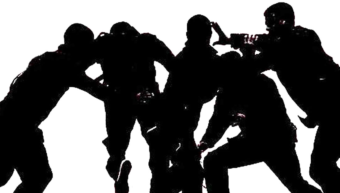 Websoft IT Nepal Pvt. Ltd.