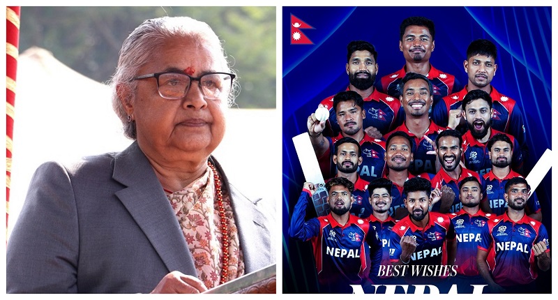 Websoft IT Nepal Pvt. Ltd.