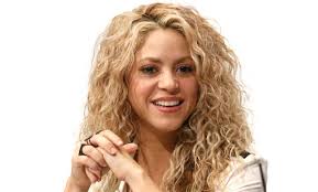 Websoft IT Nepal Pvt. Ltd.