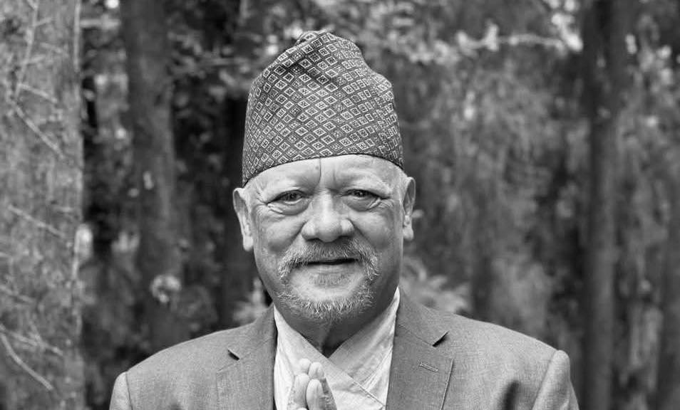 Websoft IT Nepal Pvt. Ltd.