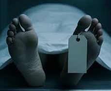 कटारीमा हुरीबतासले रुख ढाल्दा दुईको ज्यान गयो, छ जना घाइते