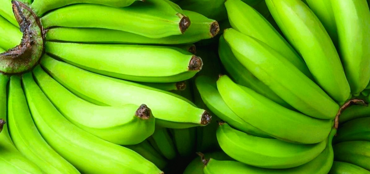 सुनसरीमा ११ लाखभन्दा बढीको बिलविहीन काँचो केरा बरामद, चार पक्राउ