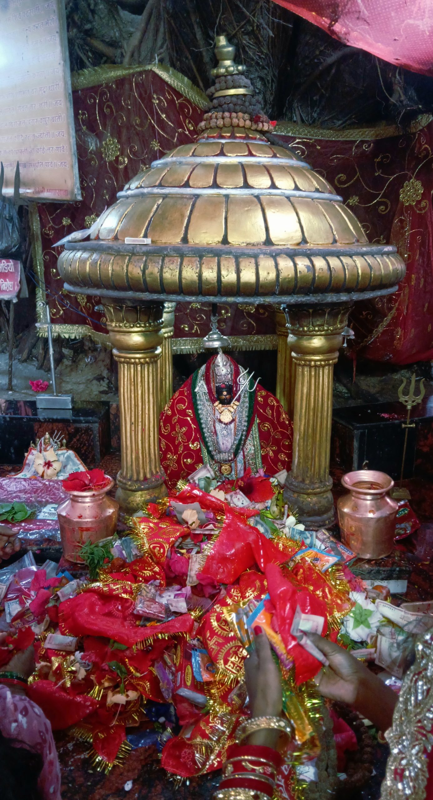 आज जेठ ९ गते शनिबारको राशिफल