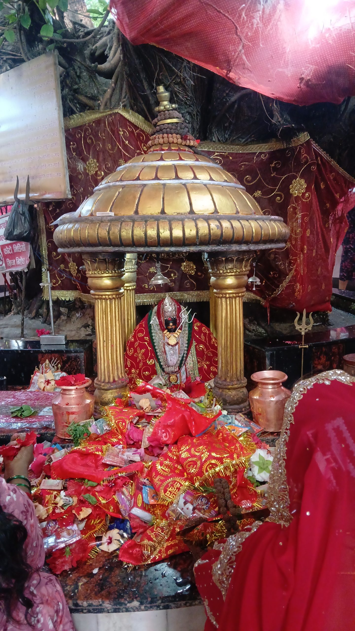 आजको राशिफल : २०८३ जेठ १० गते आइतबारका १२ राशिको भविष्यफल