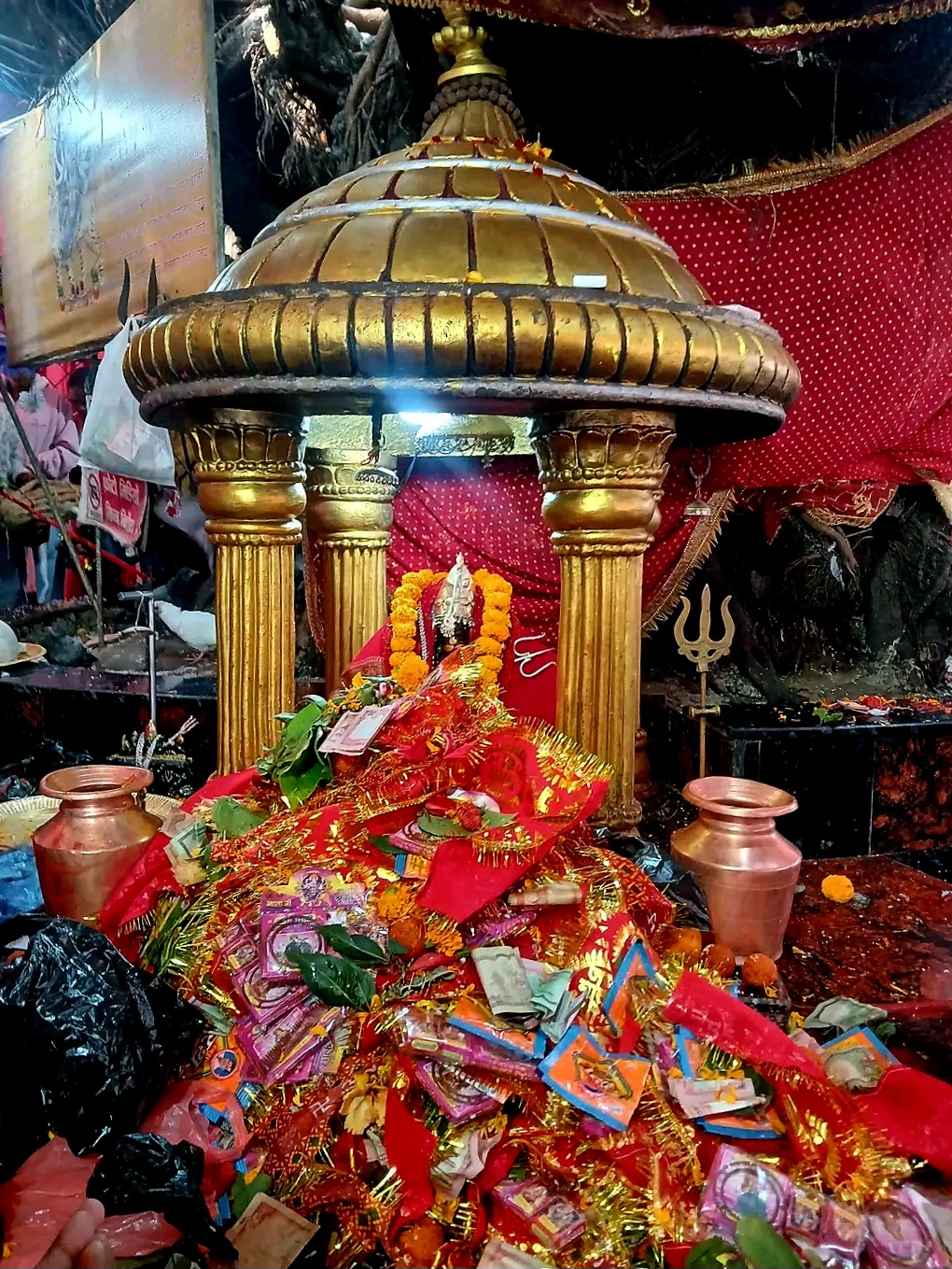 आज जेठ २६ गतेको राशिफल