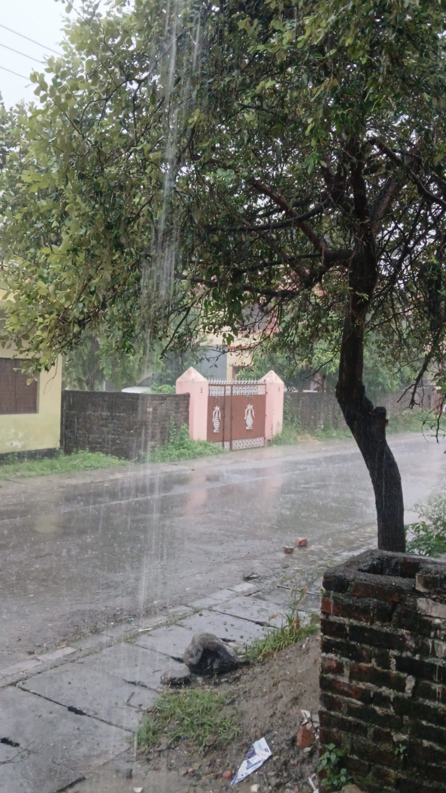 कोशीबाट फैलिँदै मनसुन, केही स्थानमा भारी वर्षाको सम्भावना