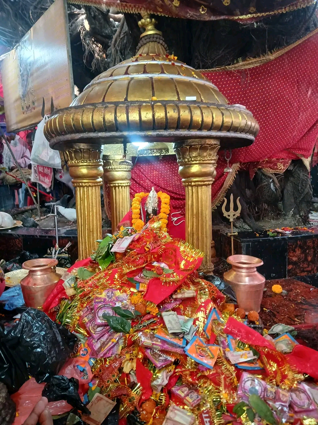 साउन १० गते आइतबार, यस्तो छ तपाईको राशिफल