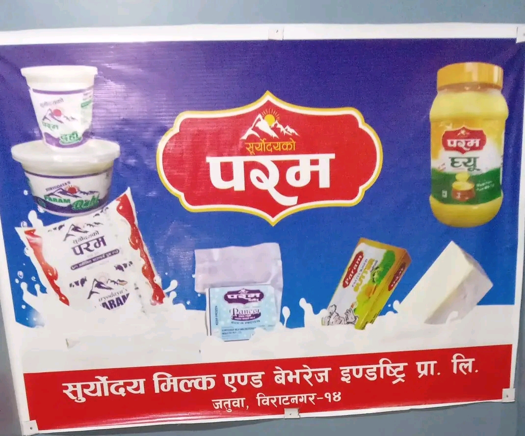 Websoft IT Nepal Pvt. Ltd.