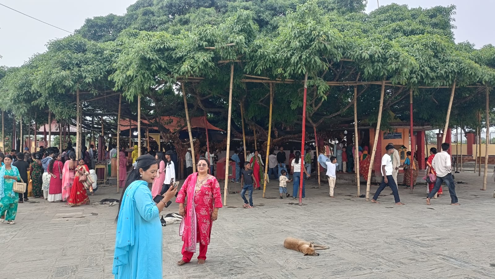 श्री संन्सारीमाई मन्दिरले दैनिक भेटी सार्वजनिक गर्न थाल्यो भदौ २५ बिहीबार
