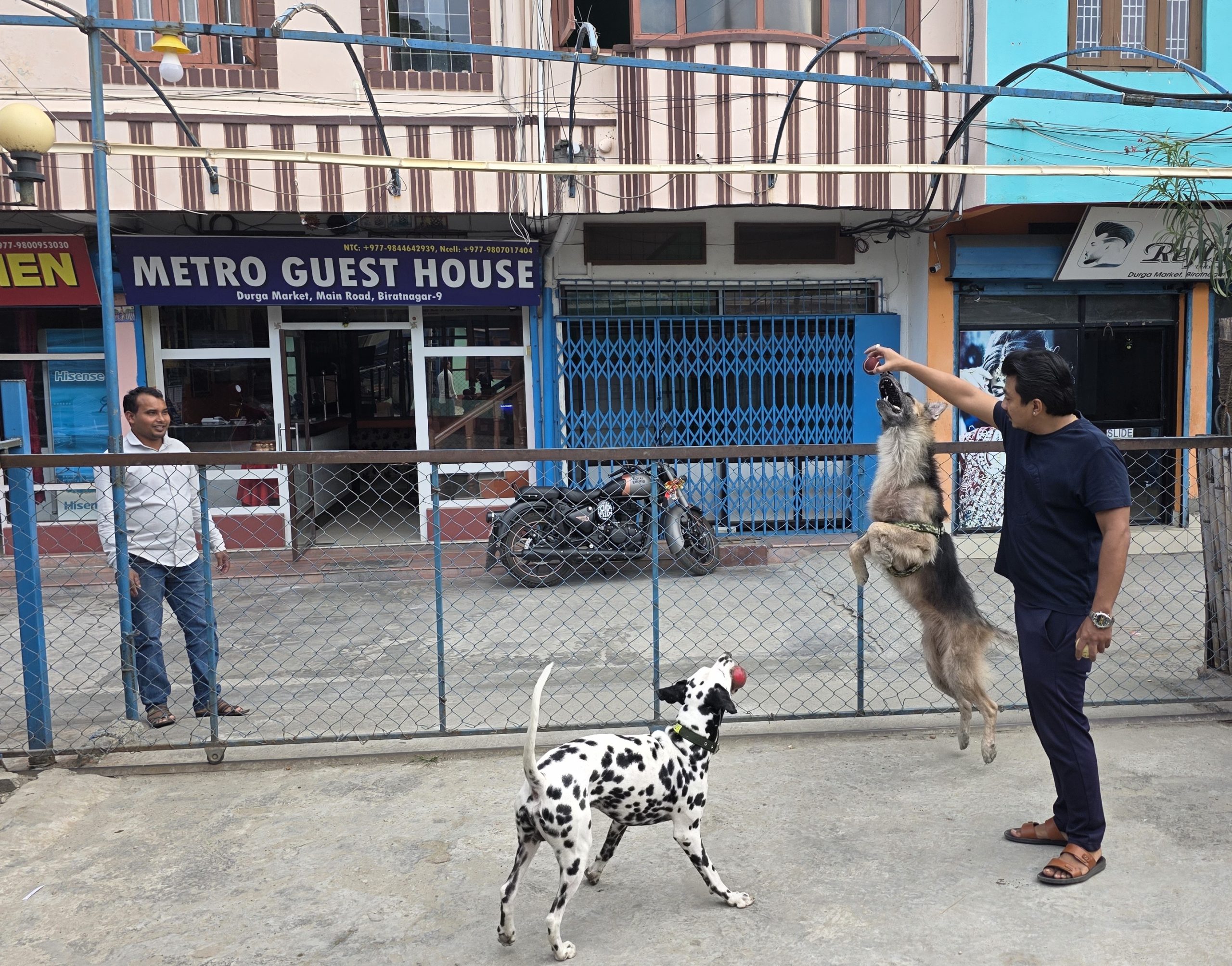 बिरामी कुकुरको भिडियो बनाएर भ्रम फैलाइयो’ : साइबर अपराधअन्तर्गत उजुरी दिने कुकुरधनीको चेतावनी