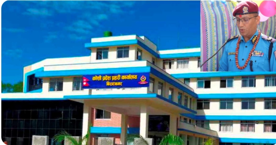 Websoft IT Nepal Pvt. Ltd.